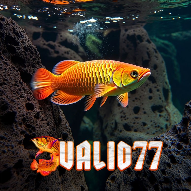 Valid77-main-img